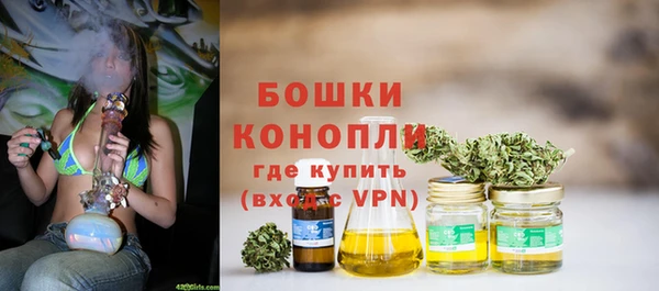 дмт Богородицк